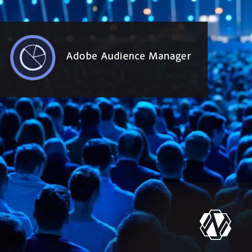 Adobe audience manager что это